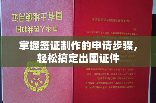 石楼掌握签证制作的申请步骤，轻松搞定出国证件