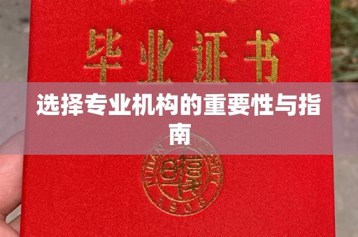 石楼选择专业机构的重要性与指南