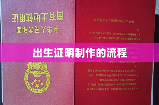 石楼出生证明制作的流程