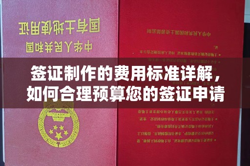 石楼签证制作的费用标准详解，如何合理预算您的签证申请成本